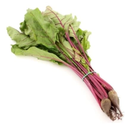 ZIELENIAK Botwinka pęczek