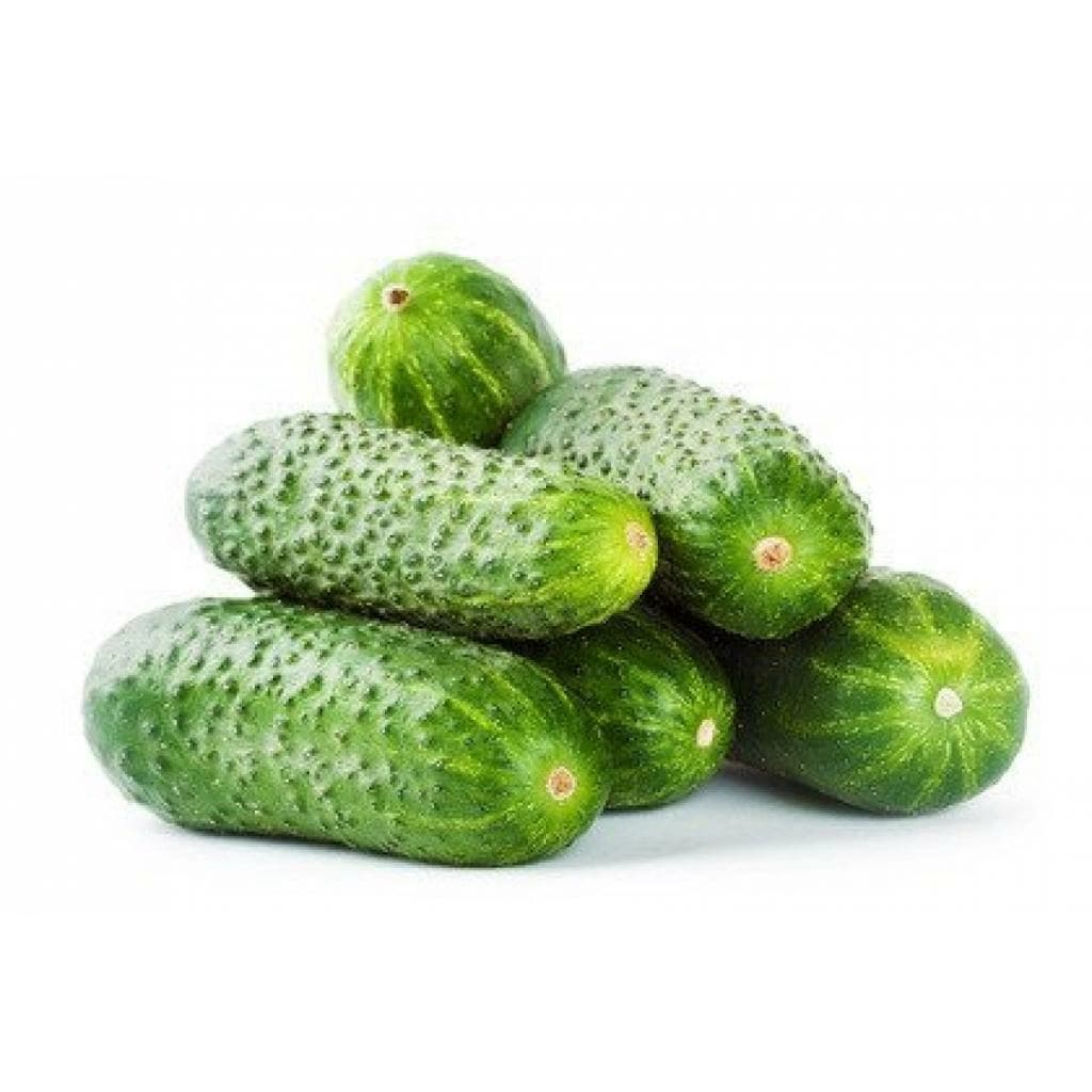 ZIELENIAK Ogórek gruntowy 600g